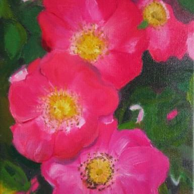 14_Roses sauvages 24x35